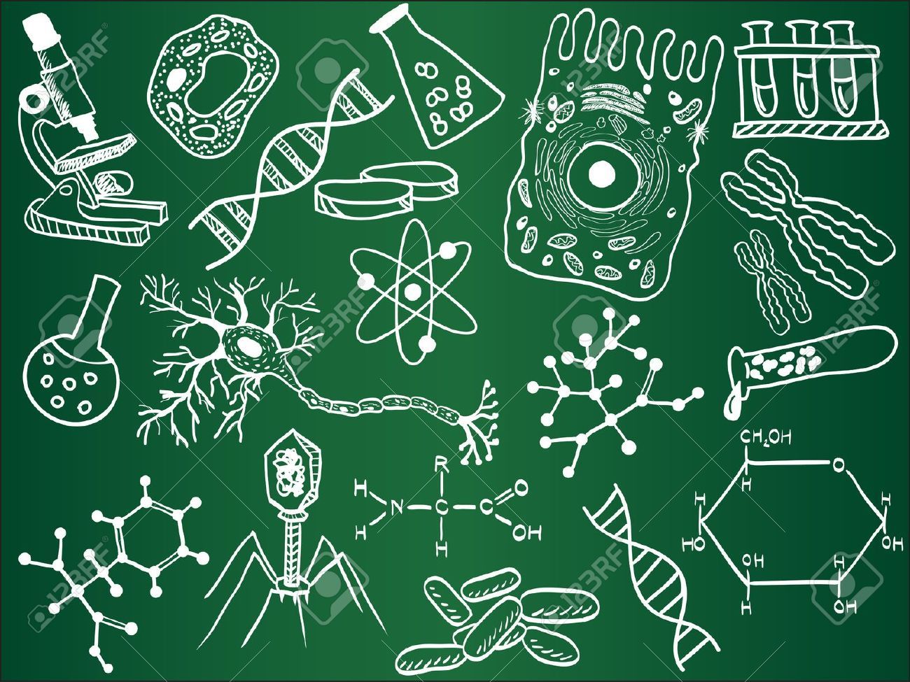 Tercero BGU A &quot;Biología&quot;